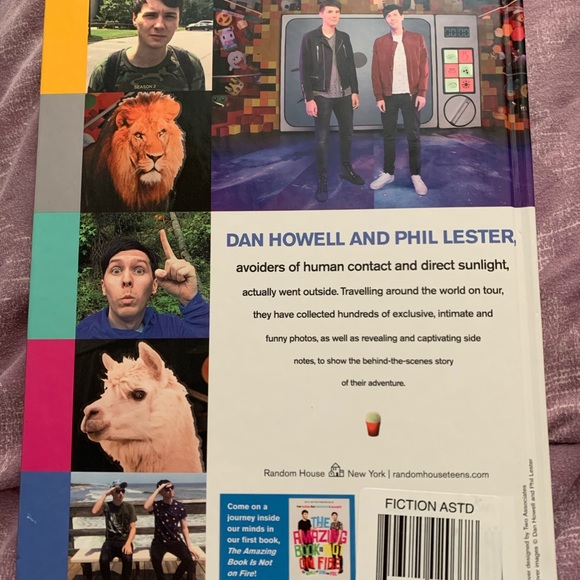 Dan and Phil Go Outside - Picture 2 of 2